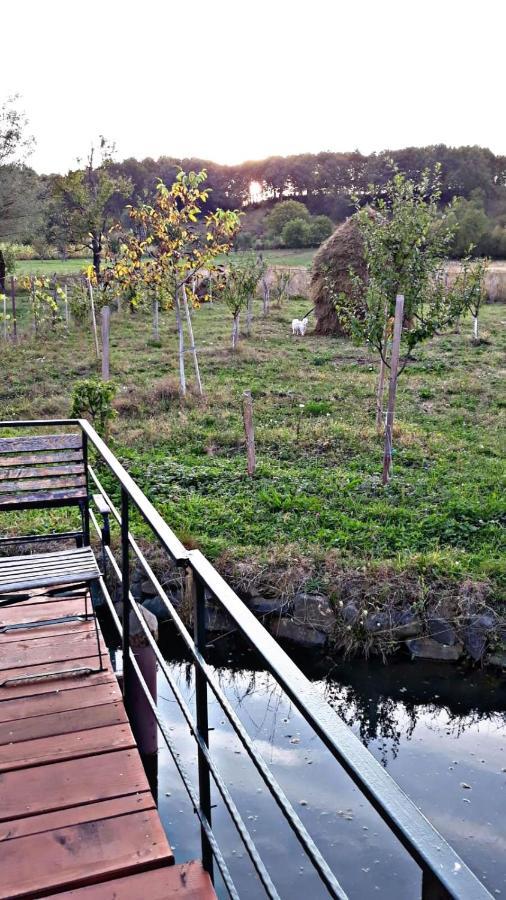 Apartamento La Curtea Veche Lapus Exterior foto