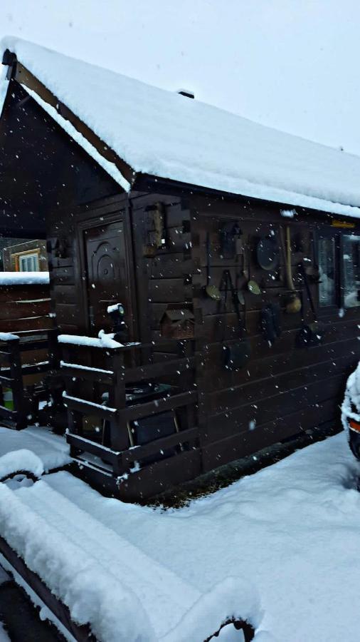 Apartamento La Curtea Veche Lapus Exterior foto