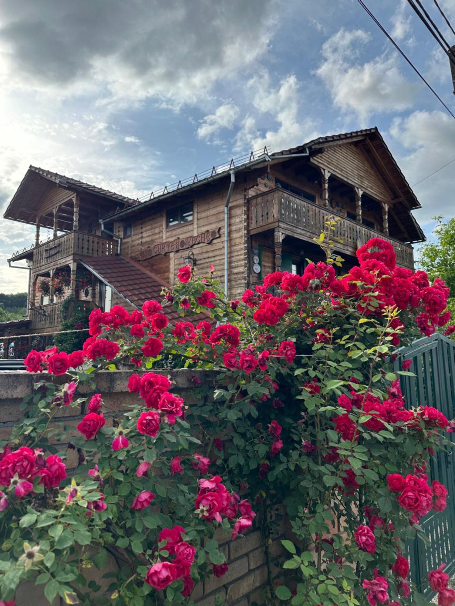 Apartamento La Curtea Veche Lapus Exterior foto